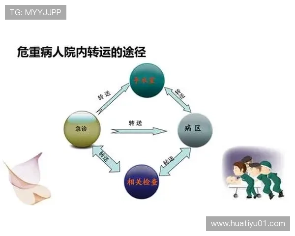 华体会登入口安全措施升级，保障用户账户信息安全无忧